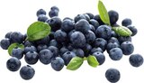 Spanien Heidelbeeren bei EDEKA im Prospekt "" für 1,49 €