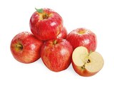 Äpfel Braeburn im Angebot bei REWE in Darmstadt Äpfel Braeburn Angebote bei REWE Darmstadt für 2,29 €