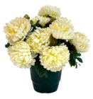 Chrysanthème artificiel 14 tiges en promo chez Truffaut Chrysanthème artificiel 14 tiges dans le catalogue Truffaut