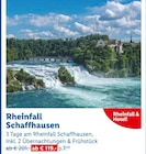 Lidl - Rheinfall Schaffhausen Angebot im Prospekt Rheinfall Schaffhausen bei Lidl im Prospekt "" für 119,00 €