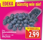 Kulturheidelbeeren im aktuellen E center Prospekt