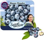 Heidelbeeren im Angebot bei REWE in Albstadt Heidelbeeren Angebote von SanLucar bei REWE Albstadt für 2,69 €