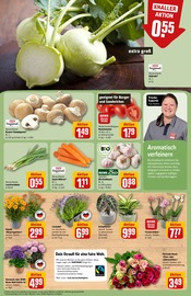 Aktueller REWE Prospekt mit Orchidee, "Dein Markt", Seite 9