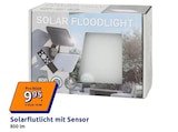 Solarflutlicht mit Sensor für 9,95 € bei Action im Angebot Solarflutlicht mit Sensor im aktuellen Action Prospekt