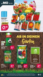 Aktueller Netto mit dem Scottie Prospekt mit Gartenerde, "Günstig. Besser. Für Dich.", Seite 18