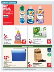 Barbecue Charbon en promo dans le catalogue Auchan Supermarché à la page 22