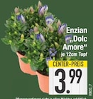 Aktuelles Enzian Dolc Amore Angebot bei EDEKA in München ab 3,99 €