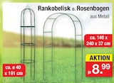 Rankobelisk Angebote bei Zimmermann Wiesbaden für 8,99 €