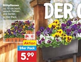 Netto Marken-Discount Oy-Mittelberg Prospekt mit  im Angebot für 5,99 €