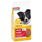Croquettes pour grands chiens - CARREFOUR COMPANINO VTALIVE - Carrefour à Nancy Croquettes pour grands chiens - CARREFOUR COMPANINO VTALIVE en promo chez Carrefour Nancy à 19,42 €