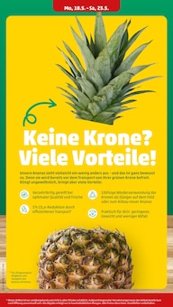 Pilze Angebot im Penny Prospekt, gültig von 18.05.2026 bis 24.05.2026 Pilze Angebot im aktuellen Penny Prospekt auf Seite 6