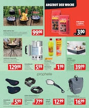 Gartendeko im famila Nordost Prospekt in Neustadt Aktueller famila Nordost Prospekt mit Gartendeko, "besser als gut!", Seite 21