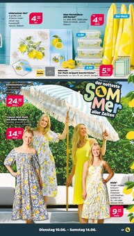 Kleid Angebot im aktuellen Netto mit dem Scottie Prospekt auf Seite 22