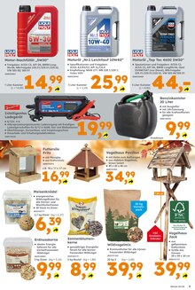 Fleisch im Globus-Baumarkt Prospekt "Immer eine Idee besser" mit 12 Seiten (Mainz)