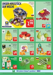 Pflaumen Angebot im aktuellen Marktkauf Prospekt auf Seite 10