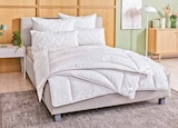 Ganzjahresbett Gabriella Angebote von Fürstenhof bei Segmüller Brühl für 19,99 €