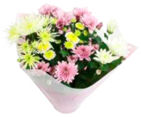 CAP Markt Rendsburg Rendsburg - Chrysanthemen oder Sonnenblumen Angebot im Prospekt Chrysanthemen oder Sonnenblumen bei CAP Markt Rendsburg im Rendsburg Prospekt für 4,99 €