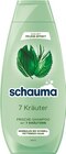 Shampoo von Schauma für 1,39 € bei Netto mit dem Scottie im Angebot Shampoo von Schauma im aktuellen Netto mit dem Scottie Prospekt