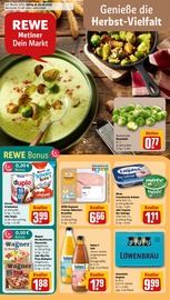 REWE Supermarkt Prospekt der aktuellen Woche mit 30 Seiten, gültig von 20.10.2025 bis 25.10.2025, in Scheyern und Umgebung Aktueller REWE Supermarkt Prospekt in Scheyern und Umgebung, "Dein Markt" mit 30 Seiten, 20.10.2025 - 25.10.2025