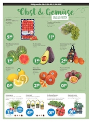 Aktueller V-Markt Prospekt mit Erdbeerpflanzen, "V-Markt einfach besser einkaufen", Seite 4