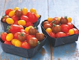 TOMATE CERISE MÉLANGÉE en promo chez Netto TOMATE CERISE MÉLANGÉE dans le catalogue Netto