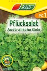 PG 1: Pflücksalat Angebote von Garten Magie bei Netto Marken-Discount Bietigheim-Bissingen für 0,19 €