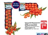 Nasch Mini Pflaumentomaten bei E center im Prospekt "" für 1,99 €