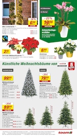 Blumen im toom Baumarkt Prospekt in Bad Salzuflen Aktueller toom Baumarkt Prospekt mit Blumen, "Respekt, wer's selber macht.", Seite 5