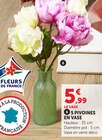 5 Pivoines en Vase - Super U à Valence 5 Pivoines en Vase en promo chez Super U Valence à 5,99 €