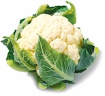 Blumenkohl im aktuellen Netto mit dem Scottie Prospekt