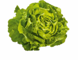Aktuelle Salat Angebote bei Netto Marken-Discount in Nürnberg Aktuelles Kopfsalat Angebot bei Netto Marken-Discount in Nürnberg ab 1,29 €