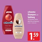 Shampoo Color Glanz Angebote von Schauma bei famila Nordost Neustadt für 1,59 €