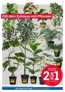 Pflanzen im aktuellen Rusta Prospekt (Jena) Pflanzen im Rusta Prospekt "Willkommen zu Hause in Schweden!" mit 16 Seiten (Jena)