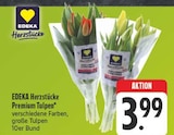 Aktuelles Herzstücke Premium Tulpen Angebot bei E center in Würzburg ab 3,99 €