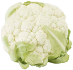 Blumenkohl im Angebot bei Marktkauf in Freiburg Blumenkohl Angebote von Unsere Heimat – echt & gut bei Marktkauf Freiburg für 1,49 €
