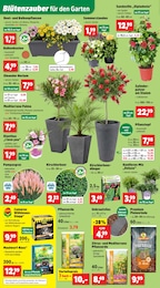 Dünger Angebot im aktuellen Thomas Philipps Prospekt auf Seite 6