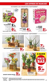 Plante Verte Angebote im Prospekt "Super U" von Super U Plante Verte Angebote im Prospekt "Super U" von Super U auf Seite 37