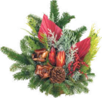 Grabschale Nordmann von  im aktuellen V-Markt Prospekt für 14,99 €