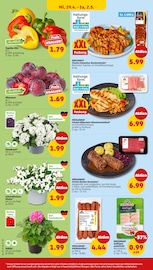 Aktueller Penny Prospekt mit Pflanzen, "Wer günstig will, muss Penny.", Seite 32