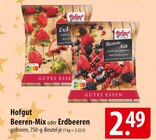 Hofgut Beeren-Mix oder Erdbeeren Angebote bei famila Nordost Langenhagen für 2,49 €