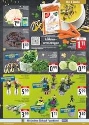 Aktueller EDEKA Prospekt mit Blumen, "Wir lieben Lebensmittel!", Seite 11