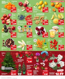 Äpfel im aktuellen Kaufland Prospekt (Saarbrücken) Äpfel im Kaufland Prospekt "Aktuelle Angebote" mit 37 Seiten (Saarbrücken)