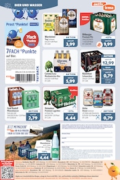 Aktueller aktiv & irma Prospekt mit Warsteiner, "Top Angebote", Seite 16