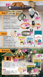 Gartendeko im Hornbach Prospekt in Berlin Aktueller Hornbach Prospekt mit Gartendeko, "Du kannst es Dir vorstellen. Du kannst es auch bauen.", Seite 23