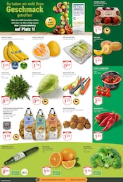 Aktueller GLOBUS Prospekt mit Salat, "Aktuelle Angebote", Seite 4