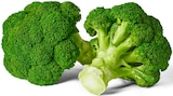 Deutscher Broccoli bei Penny im Prospekt "" für 
