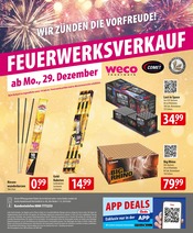Aktueller famila Nordost Prospekt mit Feuerwerk, "besser als gut!", Seite 24