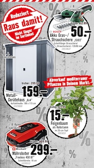 Rasenmäher im Hornbach Prospekt "Dir ist vieles Latte. Nur nicht Dein Garten." mit 33 Seiten (Ulm)