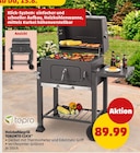 Holzkohlegrill Toronto Click von tepro im aktuellen Penny Prospekt