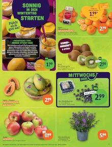 Äpfel im tegut Prospekt "tegut… gute Lebensmittel" mit 23 Seiten (Göttingen)